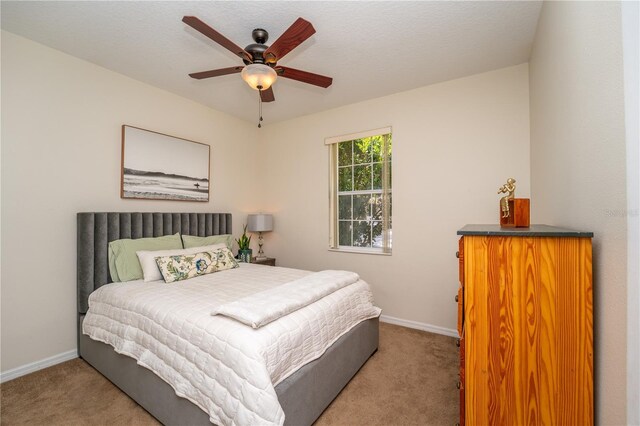 8835 Abbey Leaf Ln, Orlando, FL 32827 - photo 33