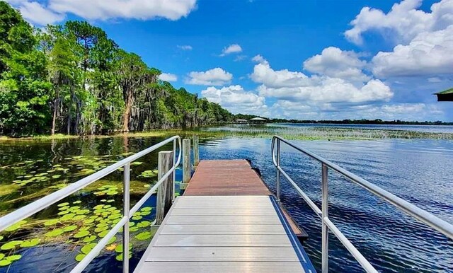 8835 Abbey Leaf Ln, Orlando, FL 32827 - photo 44