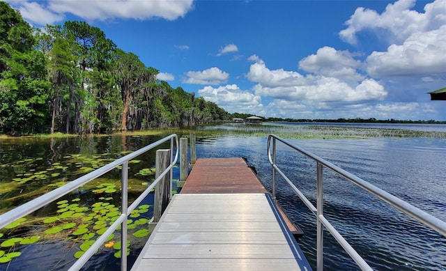 8835 Abbey Leaf Ln, Orlando, FL 32827 - photo 47