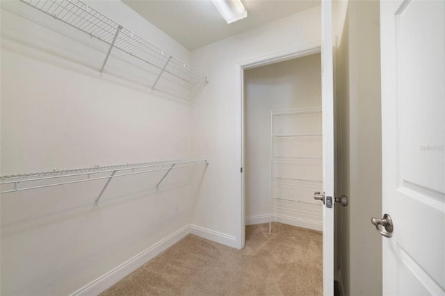 7468 Excitement Dr Unit 101, Reunion, FL 34747 - walk in closet with light colored carpet