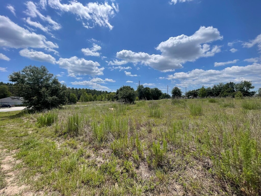 Walnut Run, Ocala, FL 34480 - photo 3