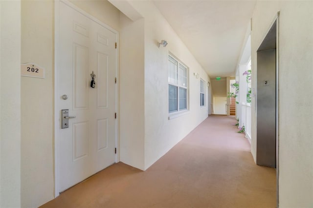 1501 Northern Harrier Way Unit 202, Reunion, FL 34747 - corridor with carpet