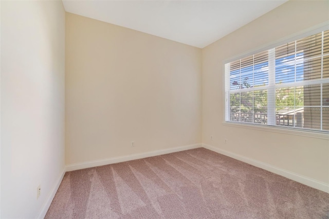 1501 Northern Harrier Way Unit 202, Reunion, FL 34747 - carpeted spare room featuring baseboards