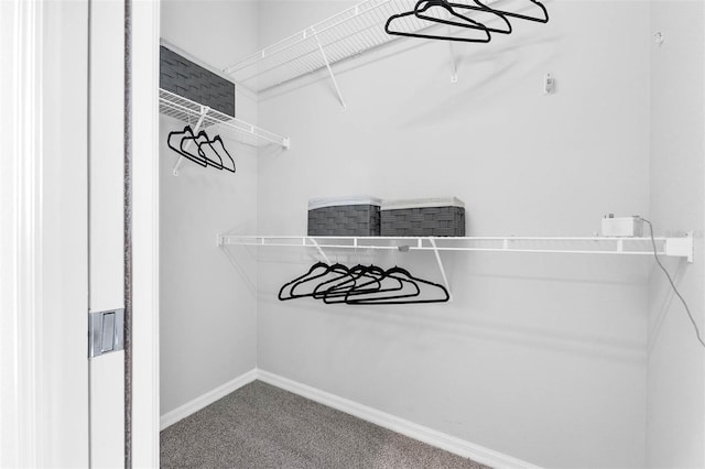 6479 Apple St, Saint Cloud, FL 34771 - spacious closet with carpet floors