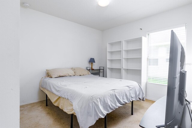 56 Levee Ln, Ormond Beach, FL 32174 - bedroom featuring carpet floors