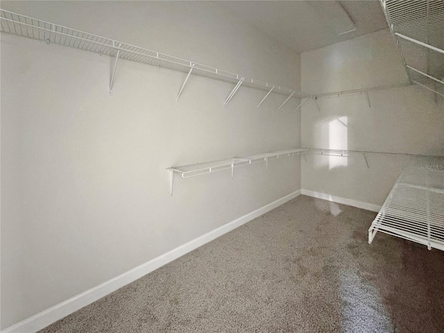 2164 Crosston Cir, Orlando, FL 32824 - walk in closet with carpet floors