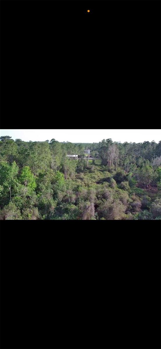 4150 Quail Nest Ln, New Smyrna Beach, FL 32168 - photo 4