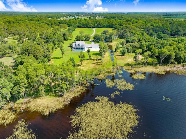 5150 Gentry Oaks Pl, Saint Cloud, FL 34772 - aerial view of property and surrounding area with a heavily wooded area and a large body of water