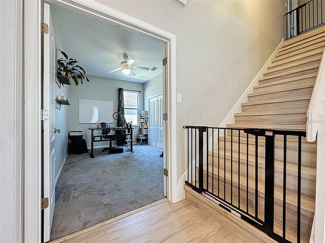 805 Suffolk Pl, Davenport, FL 33896 - photo 51