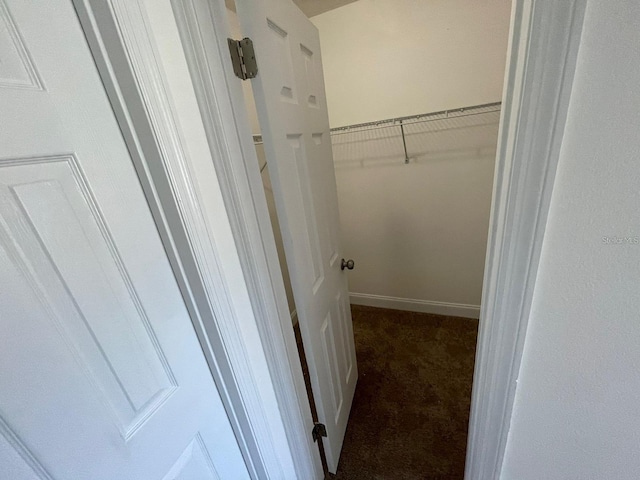 198 N Lake Ct, Kissimmee, FL 34743 - spacious closet with carpet flooring