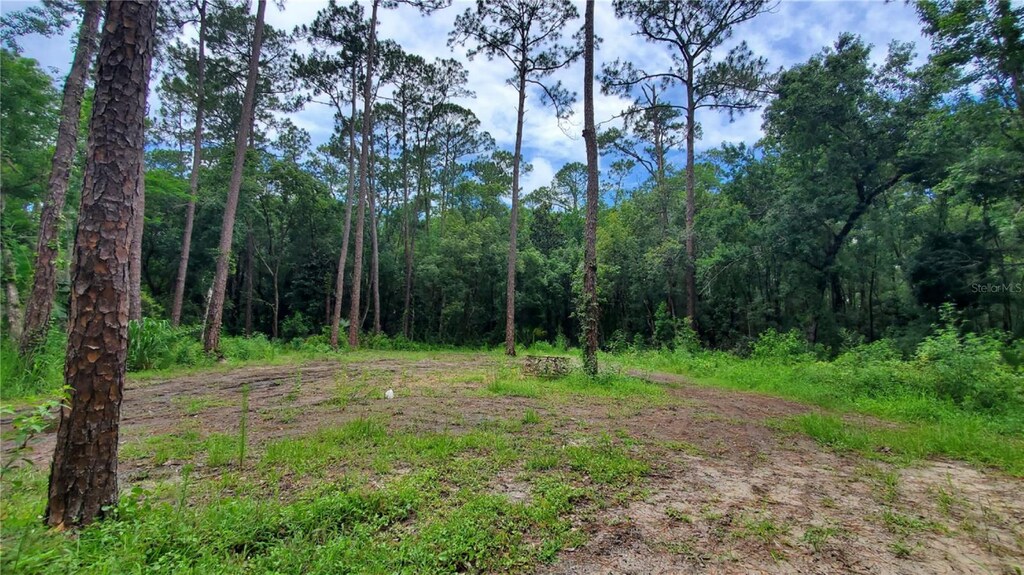 2648 S Park Ave, Sanford, FL 32773 - photo 2