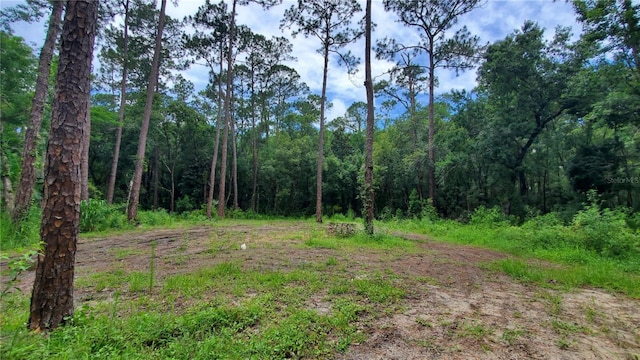 2648 S Park Ave, Sanford, FL 32773 - photo 2
