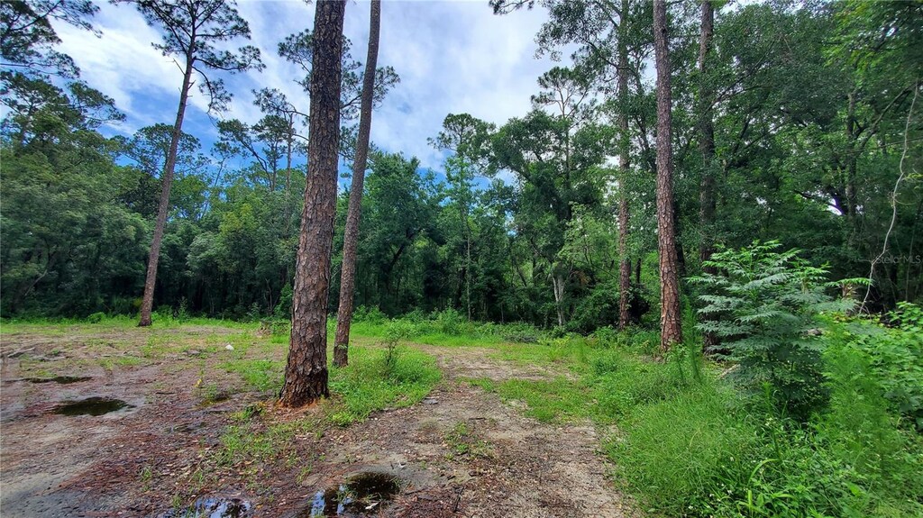 2648 S Park Ave, Sanford, FL 32773 - photo 4