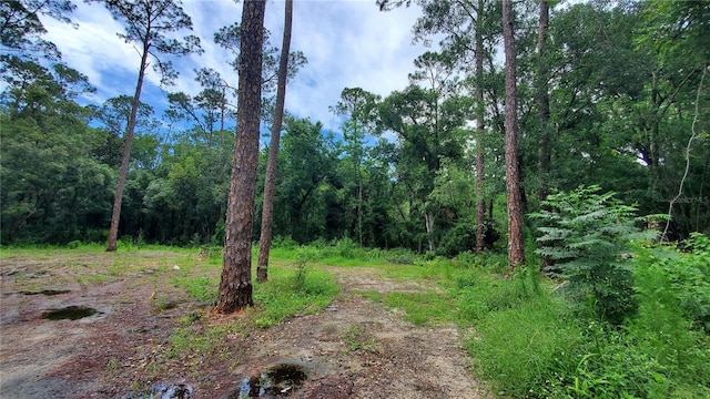 2648 S Park Ave, Sanford, FL 32773 - photo 4