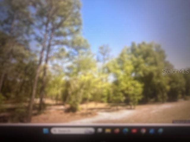 SW 207th Ct, Dunnellon, FL 34431