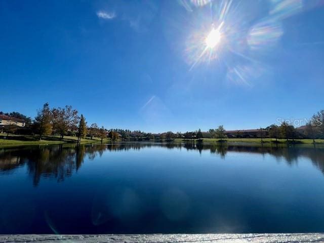3014 Red Ginger Rd, Kissimmee, FL 34747 - water view