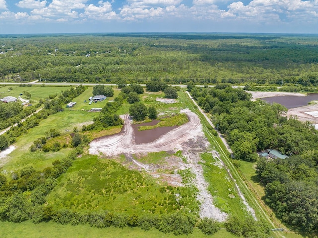 5420 Holopaw Rd, Saint Cloud, FL 34773