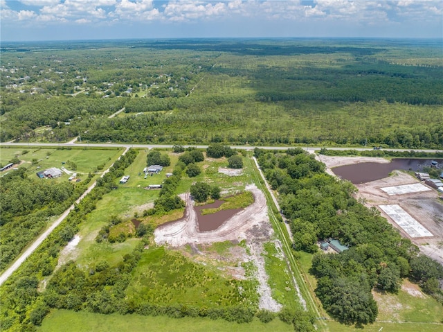 5420 Holopaw Rd, Saint Cloud, FL 34773