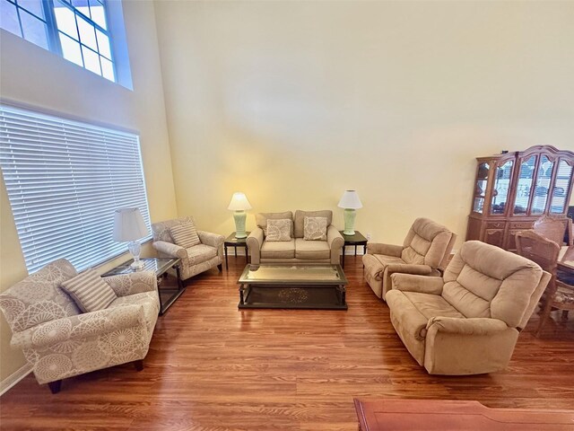 315 Wildflower Rd, Davenport, FL 33837 - living area featuring wood finished floors