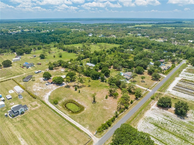 4249 Henry J Ave, Saint Cloud, FL 34772