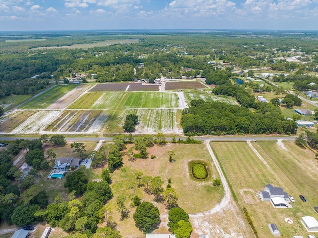 4249 Henry J Ave, Saint Cloud, FL 34772