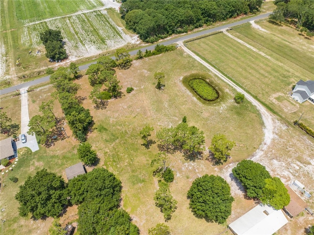 4249 Henry J Ave, Saint Cloud, FL 34772