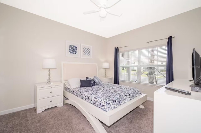 4903 Windermere Ave, Kissimmee, FL 34746 - bedroom featuring light carpet, baseboards, and ceiling fan