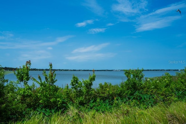 233 Century Blvd Unit A, Auburndale, FL 33823 - water view