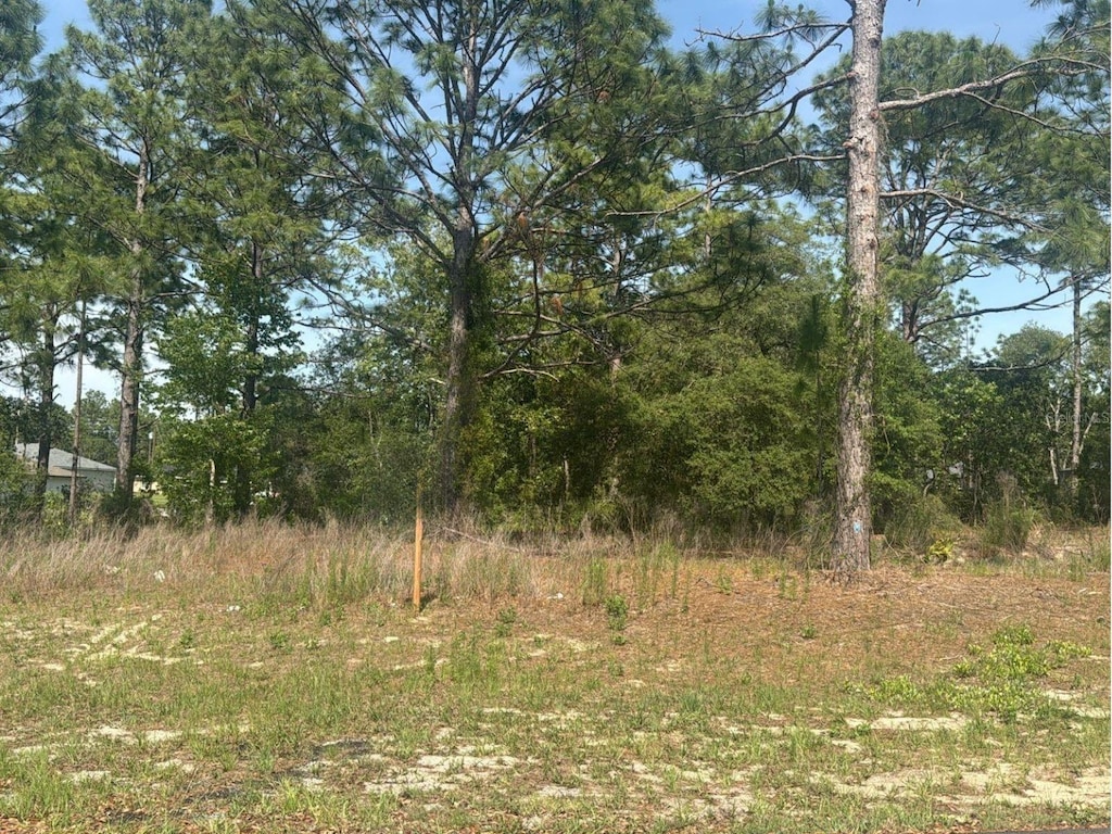 51 St Ct, Ocala, FL 34473