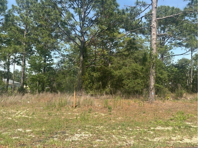 51 St Ct, Ocala, FL 34473