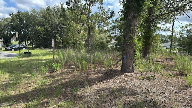 51 St Ct, Ocala, FL 34473 - photo 3