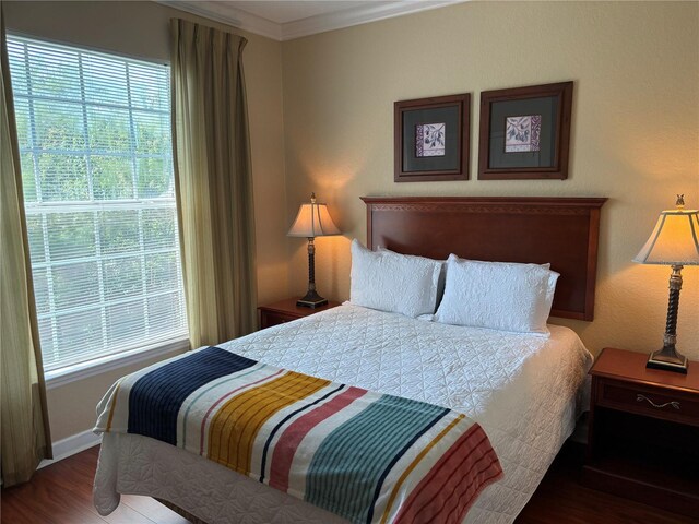 1375 Tuscana Ln Unit 1405, Davenport, FL 33896 - bedroom with wood finished floors, multiple windows, crown molding, and baseboards