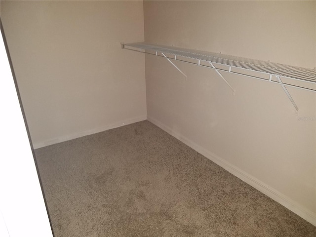 13620 Cepheus Dr, Orlando, FL 32828 - photo 17