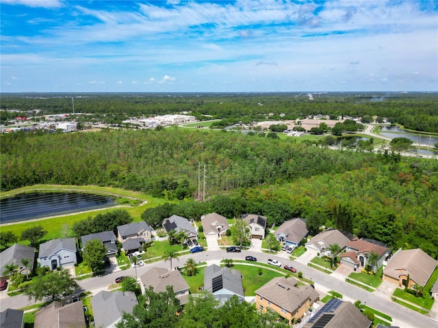 1851 Hammock Moss Dr, Orlando, FL 32820 - aerial view of residential area featuring a nearby body of water and a forest