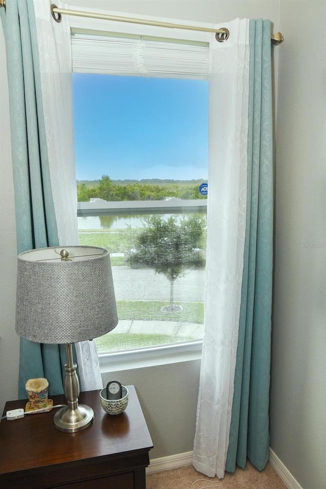 4800 Riverwalk Dr, Saint Cloud, FL 34771 - photo 22