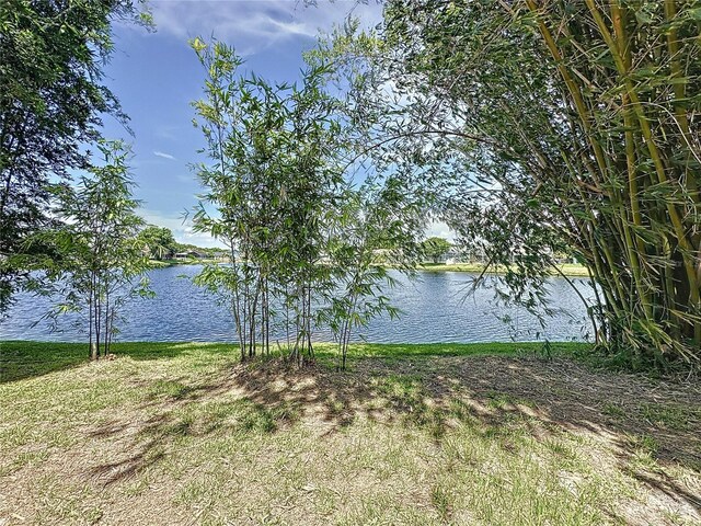 86 Blackberry Creek Dr, Saint Cloud, FL 34769 - photo 45