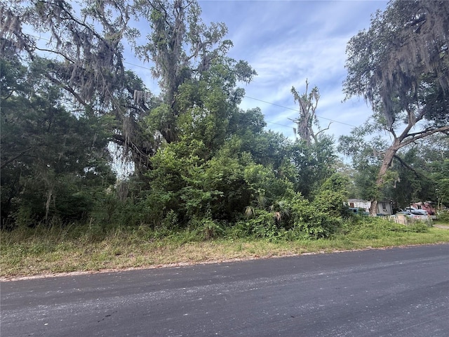 1656 W Nat Turner Ln, Dunnellon, FL 34434