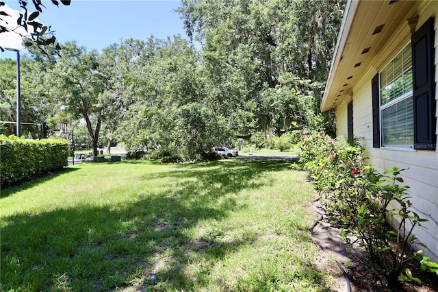 1843 Harbor Blvd, Kissimmee, FL 34744 - view of grassy yard