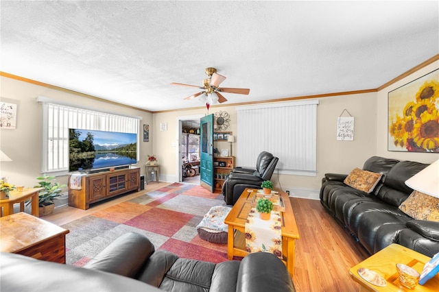 517 Carolina Ave, Saint Cloud, FL 34769 - living room featuring crown molding, ceiling fan, wood finished floors, a textured ceiling, and baseboards