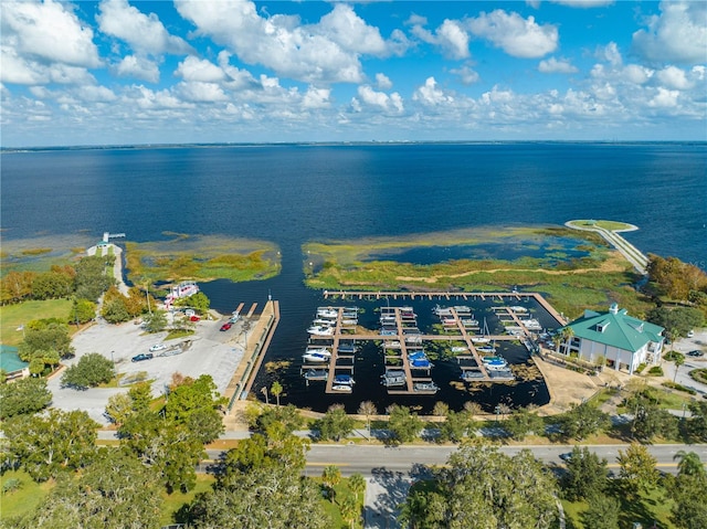 517 Carolina Ave, Saint Cloud, FL 34769 - bird's eye view of a nearby body of water