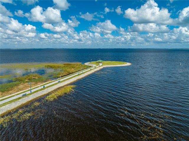 517 Carolina Ave, Saint Cloud, FL 34769 - aerial view of a large body of water