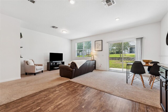 955 Grandin St, Davenport, FL 33837 - living room with wood finished floors and baseboards