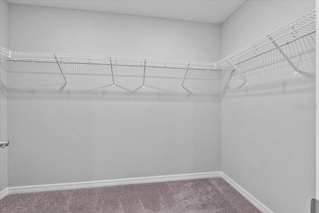 3926 Palazzo Pl, Winter Haven, FL 33884 - photo 26