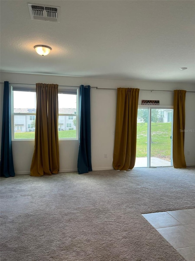 254 Mandovi St, Davenport, FL 33837 - unfurnished room with plenty of natural light, carpet floors, and baseboards