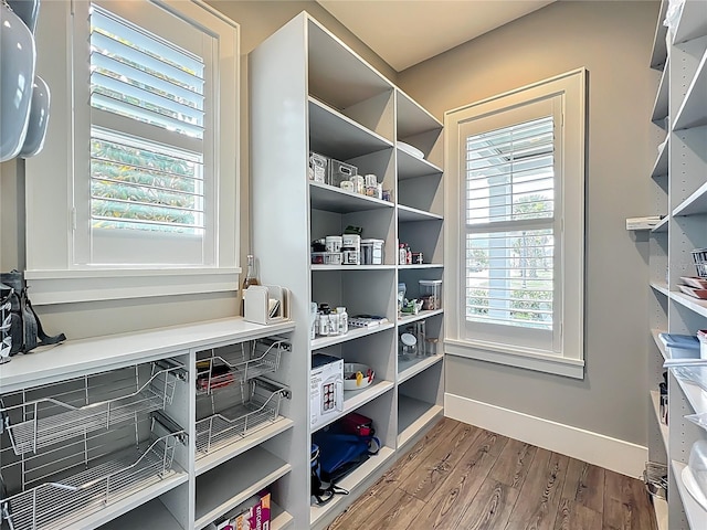 960 Civitas Way, Winter Garden, FL 34787 - view of pantry