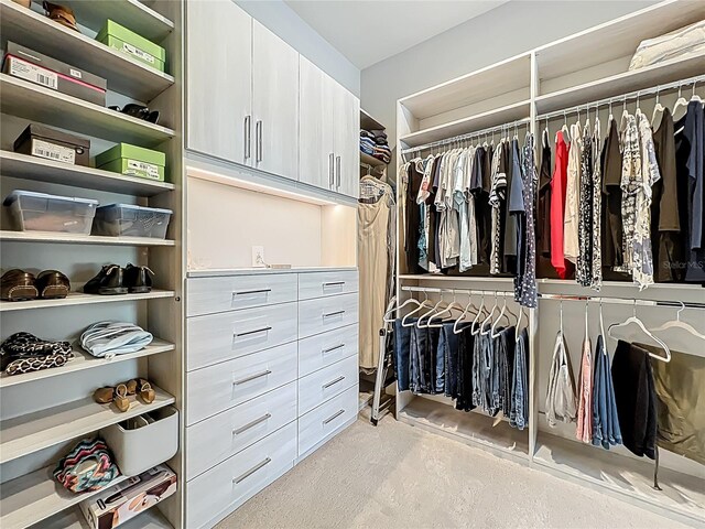 960 Civitas Way, Winter Garden, FL 34787 - view of spacious closet