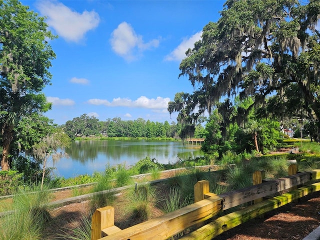 960 Civitas Way, Winter Garden, FL 34787 - water view