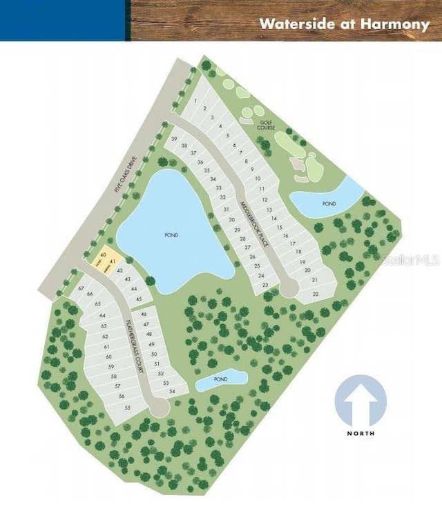 3420 Middlebrook Pl, Harmony, FL 34773 - map / location