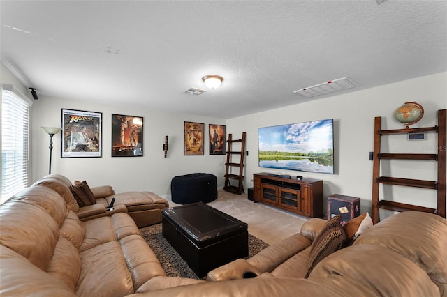 3420 Middlebrook Pl, Harmony, FL 34773 - living room featuring light carpet