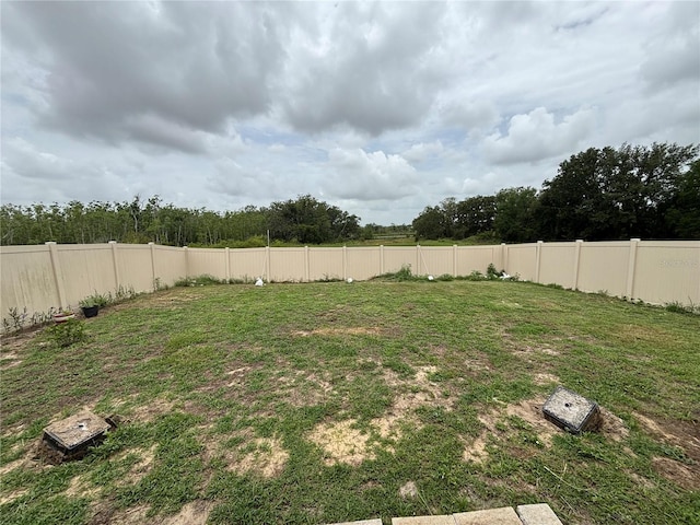 3476 Yarian Dr, Haines City, FL 33844 - view of yard